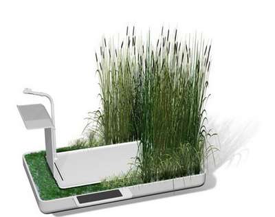 Future Toilet