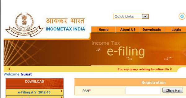 Online registration of PAN for filing income tax return online