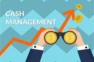 Cash Management System in Central Government - MEP/QEP for 3rd quarter of the financial year (2021-22)