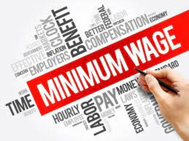 Minimum Wages Act – Revision of VDA from 19.01.2017 to 01.04.2022: Lok Sabha QA