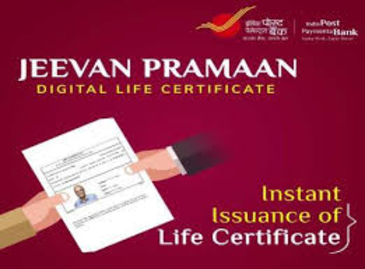 Submission of life Certificate and Non-Employment Certificate: KVS