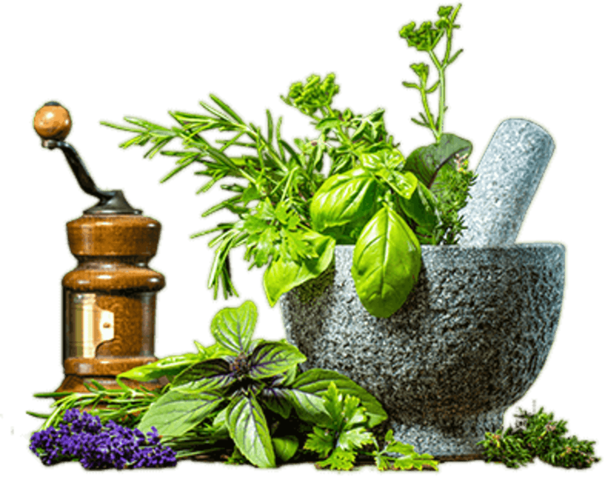 CGHS Empanelled Ayurvedic Government Hospitals: Lok Sabha QA